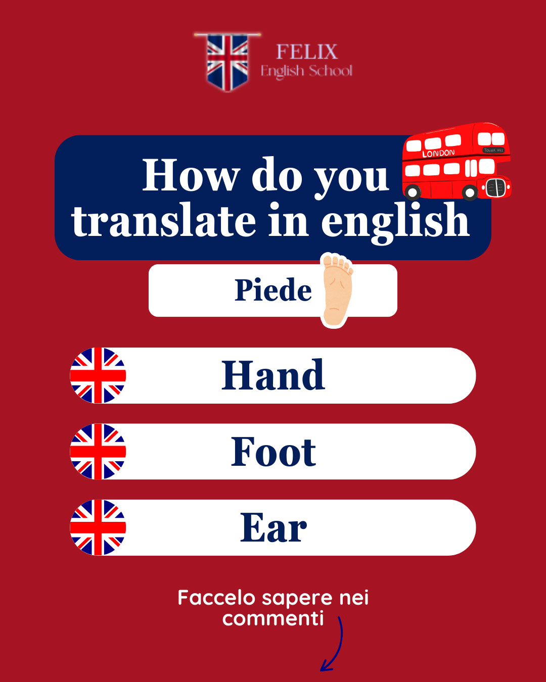 Felix-English-School-11
