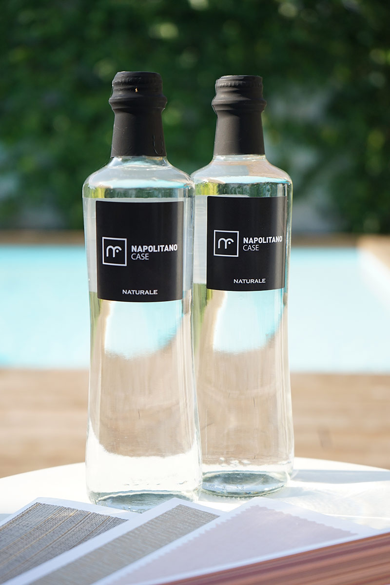 Napolitano-Case-2
